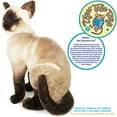 thumbnail image 2 of Stefan The Siamese Cat - 14 Inch Stuffed Animal Plush - by Tiger Tale Toys, 2 of 5