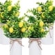 thumbnail image 4 of Bewildely 2 piezas de ramas de limón artificiales, fácil de limpiar, amplia aplicación para cualquier espacio, bajo mantenimiento, elegante Type3 NO3, 4 of 6