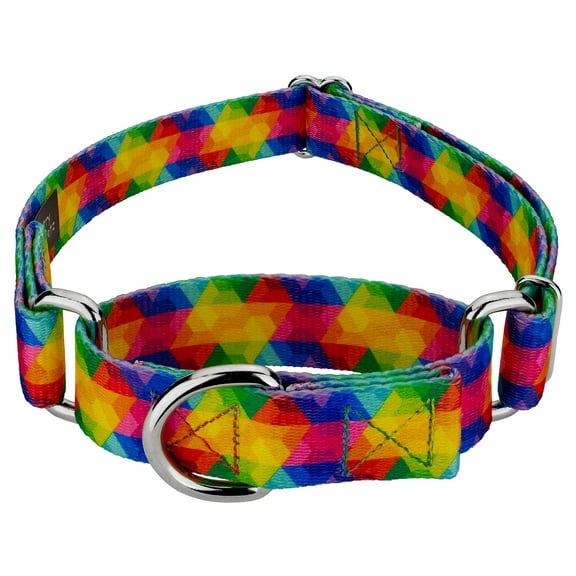 Country Brook Petz® Kaleidoscope Martingale Dog Collar, Small