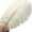 White, variant on Black Ostrich Feathers,Bexikou 20 Pcs 8-10 inches Natural Ostrich Feathers Plumes for Wedding Party Centerpieces, Home Decorations and DIY Crafts