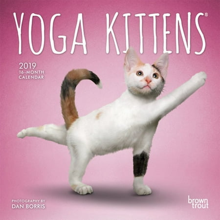 Kittens Wall Calendar - 2019 Yoga Kittens Mini Wall Calendar, by BrownTrout