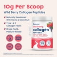 thumbnail image 4 of Péptidos de colágeno NativePath hidrolizados tipo 1 y 3 230 ml, 4 of 9