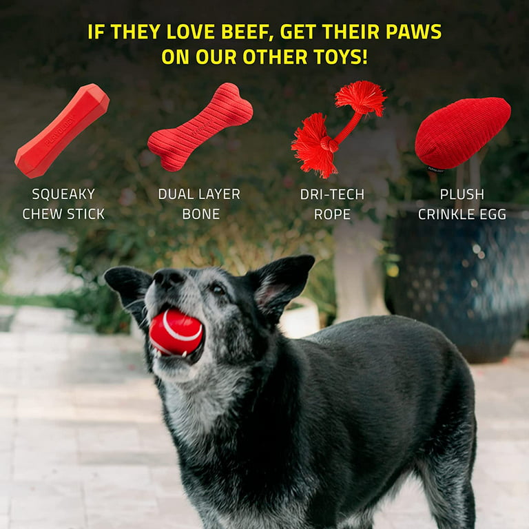 Squeaky Chew Ball Dog Toy - Chicken, Beef, Peanut Butter, and more