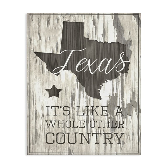 Stupell Industries Southwestern Texas, A Whole Other Country Canvas Art, 16 x 20, by Lil' Rue