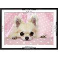 thumbnail image 3 of Chihuahua Dog, Animals Framed Art Print Wall Art Sold by Art.Com, 3 of 6