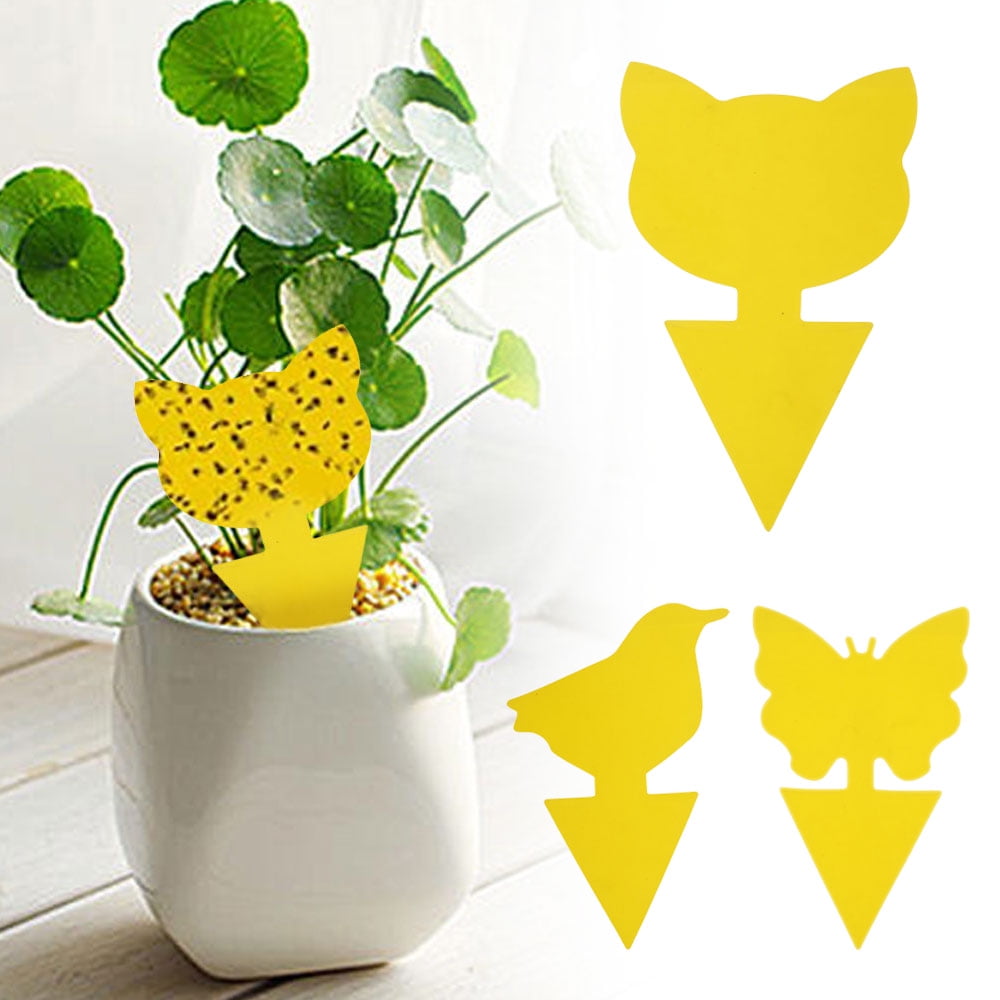 10/20/30PC Dual-Sided Yellow Sticky Traps for Fly Plant Insect Like Fungus Gnat 