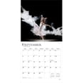 thumbnail image 4 of Ballet | 2026 12x24" (Hanging) Square Wall Calendar | Plastic-Free | BrownTrout, 4 of 9