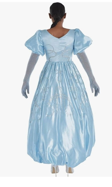 Disney Descendants The Rise of Red Cinderella Costume (Adult Medium)