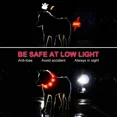 thumbnail image 2 of Collar luminoso para perro, collar fluorescente LED recargable, 8 colores, collar de seguridad ajustable de 3 modos para perros pequeños, grandes y medianos, rojo, 2 of 5