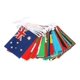 thumbnail image 1 of Anley 100 Countries String Flag, International Bunting Pennant Banner, Decoration For Grand Opening, Sports Bar, Party Events - 82 Feet 100 Flags, 1 of 2