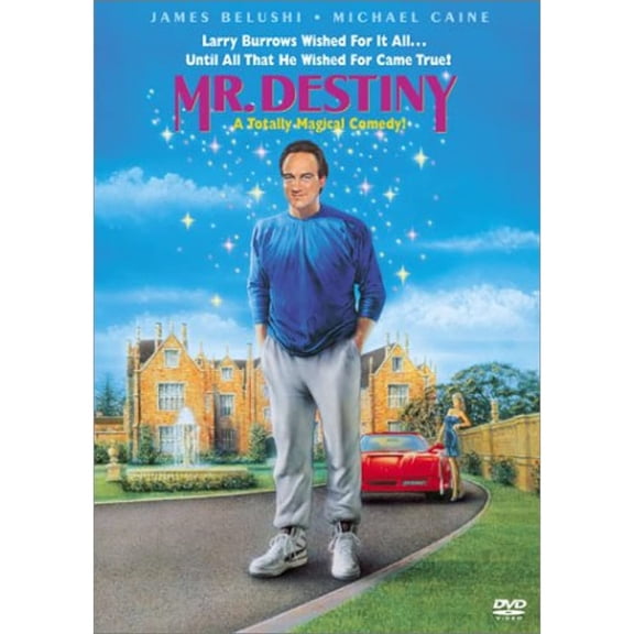 Mr. Destiny DVD