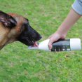 thumbnail image 2 of Portable Dog Water Bottle with Water Storage Container Dog Travel Water Bottle for Puppy Small Medium Dogs, 2 of 7