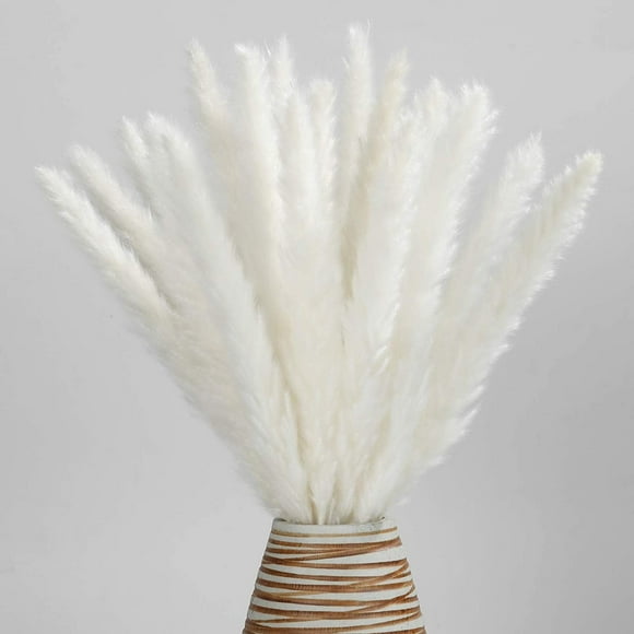 Dried Pampas Grass -Natural,30 pcs Reed Grass Plumes, Dried Flower Bouquet for DIY Home Kitchen Wedding Party Decor