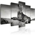 thumbnail image 2 of Tiptophomedecor Stretched Canvas Animal Art - Lioness In A Desert - Stretched & Framed Ready To Hang Art, 2 of 5