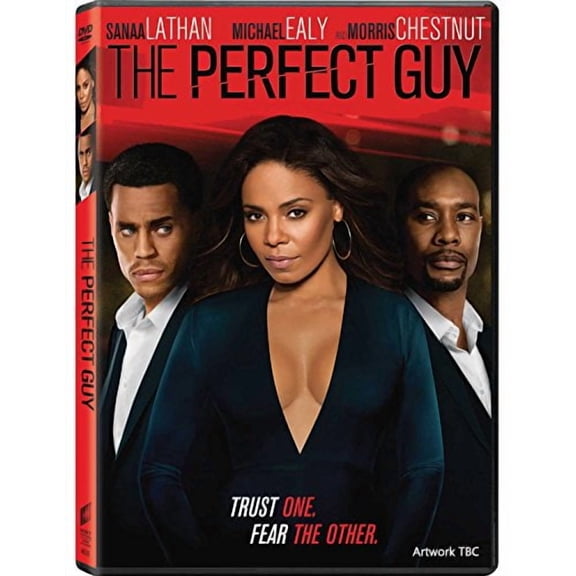 The Perfect Guy [DVD]