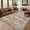 Colorful, variant on Vintage Area Rug 5x7 for Living Room - Washable, Non-Slip, Low Pile Faux Wool Soft Carpet - Non-Shedding, Foldable, Distressed Printed Floor Rug for Dining Room, Colorful