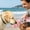 Pink, variant on Portable Pet Drinking Cup for Outdoor Use – Combines Water Cup and Food Cup Keeps Pets Hydrated and Fed While Out