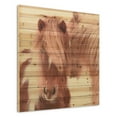thumbnail image 2 of Empire Art Direct Foal Print on Solid Wood Wall Art, 36" x 36", Ready to Hang, 2 of 9