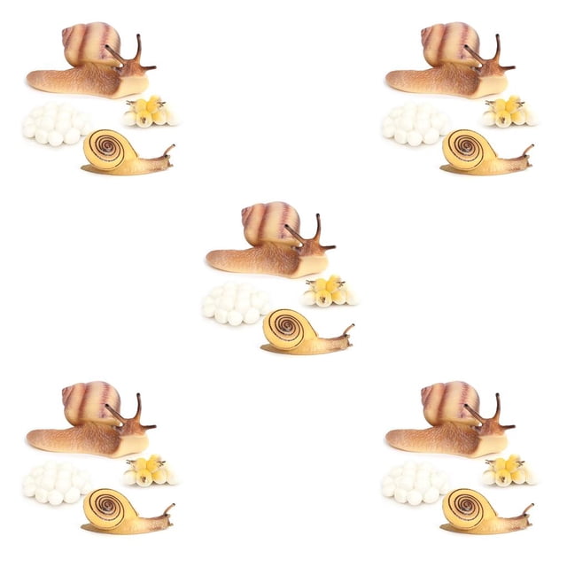 verishout 1 Set Life Cycle Models Exquisite Interesting Display Prop Unique Simulation Education Props Animal Toy for Children Snail 5Set