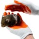 thumbnail image 3 of BESTYASH 1Par Guantes Resistentes Para Manipulación De Mascotas Con Material Transpirable, 3 of 8