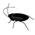 thumbnail image 1 of Niños Bebé Energía Solar Energía Insecto Insecto Saltamontes Niños Juguete Regalo Novedad Solar Juguetes divertidos Eigraketly WJ1280-02B, 1 of 6