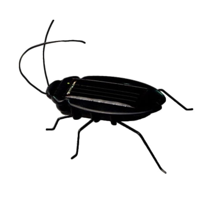 Niños Bebé Energía Solar Energía Insecto Insecto Saltamontes Niños Juguete Regalo Novedad Solar Juguetes divertidos Eigraketly WJ1280-02B
