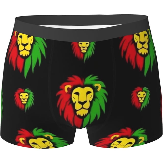 SEVEBJ sous-Vêtements pour Hommes Boxeurs Extensibles