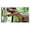 Dinosaur, variant on GTSABWAY 71"x138" UV Printed Retractable PVC Mesh Side Awning Patio Privacy Screen with UPF50+ Sun Shade Windbreak for Garden Balcony Deck, Dinosaur Pattern