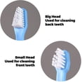 thumbnail image 3 of Dog Toothbrush, L Size Finger Toothbrush and Long Handle Double-Headed Toothbrush for Small to Large Dogs and Cats 10Pcs Pet Toothbrush, 3 of 4