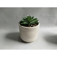 thumbnail image 1 of Ceramic Decor, 1 of 1
