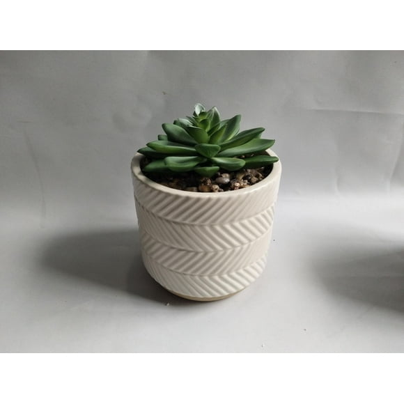 Ceramic Decor