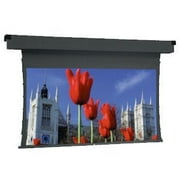Tensioned Dual Masking Electrol Projection Screen