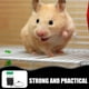 thumbnail image 2 of Bebedero calefaccionado para mascotas, bebedero calefaccionado para conejos, bebedero para hámsters, cubo calentador de agua automático para conejos., 2 of 7