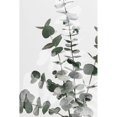 thumbnail image 2 of Artographie Studio 17x24 Black Modern Framed Museum Art Print Titled - Eucalyptus Creative 06, 2 of 4