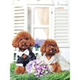 thumbnail image 5 of Mini Chien Noeud Papillon Animaux Réglable Collier Sangle de Cou, 5 of 5