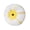 1 brush head, variant on Multifunctional Paint Roller Handheld Paint Edger Wall Decorative Painting Tool for Home Room Wall Corner
