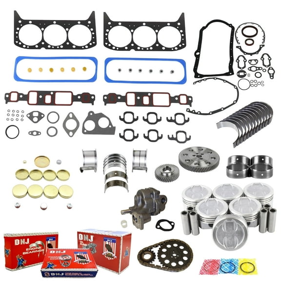 DNJ EK3125AM Master Engine Rebuild Kit Fits Cars & Trucks 1993 Chevrolet GMC Astro C1500 C2500 G-Series Jimmy K-Series P30 P3500 S10 S10 Blazer Safari Sonoma 4.3L OHV V6 12V VIN Z