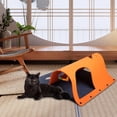 thumbnail image 4 of Milaget Cat Tunnel for Indoor Cats Interactive Toy Exercise Tube Cat Toy Kitten Orange, 4 of 8