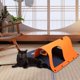 thumbnail image 3 of Túneles para para de interior Alfombra de Juguete para Alfombra de actividades Juguete Ejercicio Material de fieltro , Naranja Yinane Túnel de fieltro para gatos, 3 of 7