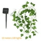 thumbnail image 2 of Ivy String Lights 100Led Decoración De Iluminación Solar Powered Led String Lights Fairy Vine Decoración Bombilla Cadenas De Iluminación Decorativas Para Patio Jardín Pasarela Boda 32.8Ft Yuarrent HA027405-01, 2 of 5