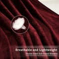 thumbnail image 3 of Home Bedroom All Season Lightweight Soft Warm Fuzzy Microplush Fleece Bed Blanket Burgundy Twin 60" x 78", 3 of 7