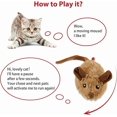 thumbnail image 3 of LaRoo Dog Flying Ring Toys, Floating Flying Disc ABS Durable Interactive Chew Toys for Training Outdoor Playing Puppy Medium Large Dogs (Small Green/18cm), 3 of 5