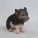thumbnail image 1 of Figura Hi-Line Gift Ltd., cerdito sentado, marrón oscuro, 15 cm, 1 of 9