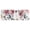 Pioneer Flower Floral-2, variant on Pioneer Flower Floral Print Pattern Kitchen Rug Mat,Kitchen Runner Rugs Non Skid Washable,Decorative Kitchen Floor Mats for Kitchen,Sink,Laundry,17"X47"