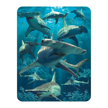

3D LiveLife Magnet - Hammerhead Shark from Deluxebase. Lenticular 3D Shark Fridge Magnet. Magnetic decor for kids and adults with artwork licensed from renowned artist David Penfound