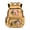 Cute Axolotl Pineapple, variant on Yspwyqan Cute Axolotl Pineapple School Backpack for Kids, 17 Inch 600D Polyester Lightweight Bookbag Fits 15.6 Laptop, Multi-Pocket for Elementary Middle Travel Hiking
