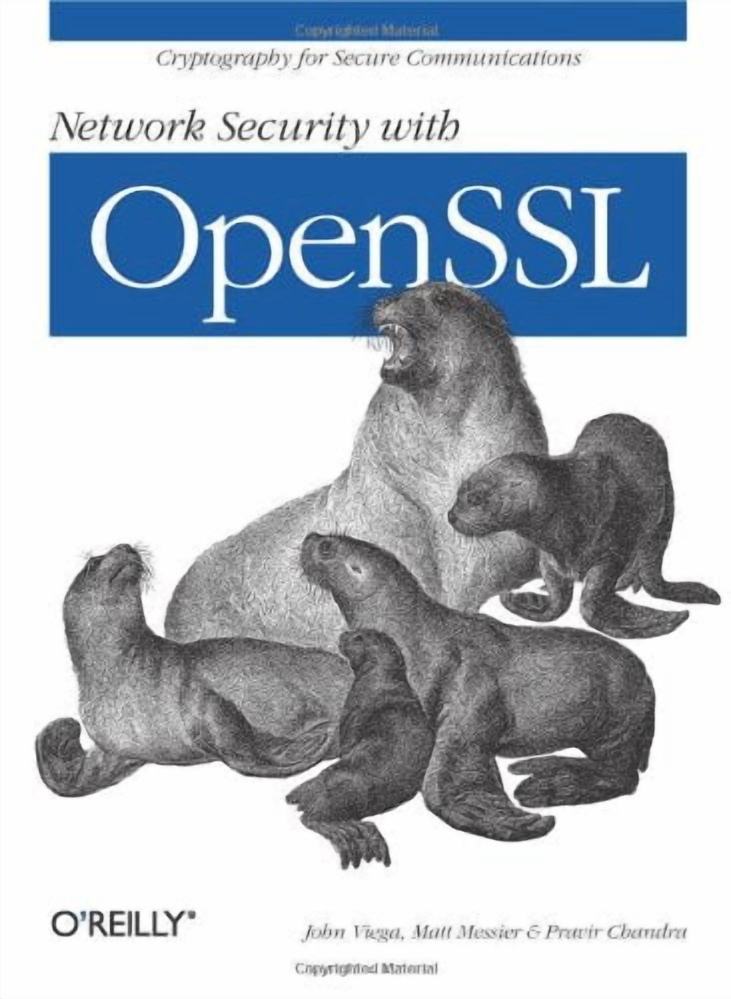 Network Security with OpenSSL: Cryptography for Secure Communications (Paperback)