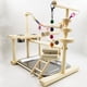 thumbnail image 2 of Bird Perches Nest Play Stand Gym Parrot Playground Playstand, 2 of 9
