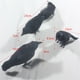 thumbnail image 3 of Modelo de simulación de pájaros negros Fiudx suministros para decoración de fiestas espeluznantes, 3 of 7