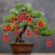 thumbnail image 2 of Colgante de Año Nuevo, decoración del Festival, adorno de árbol de la fortuna para celebración navideña, 2 of 3